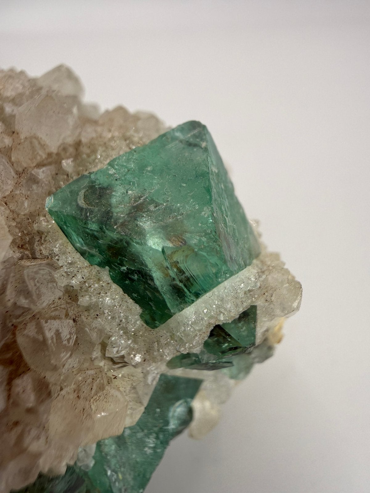 Fluoriet Riemvasmaak, Ophalen of Verzenden