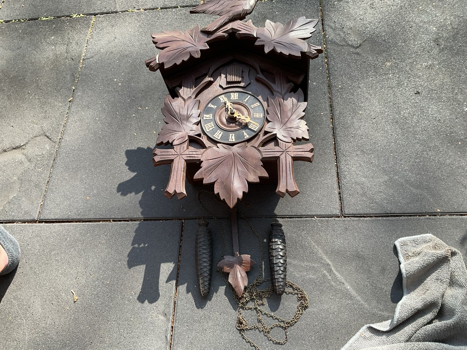 Koekoeksklok duits, Ophalen of Verzenden