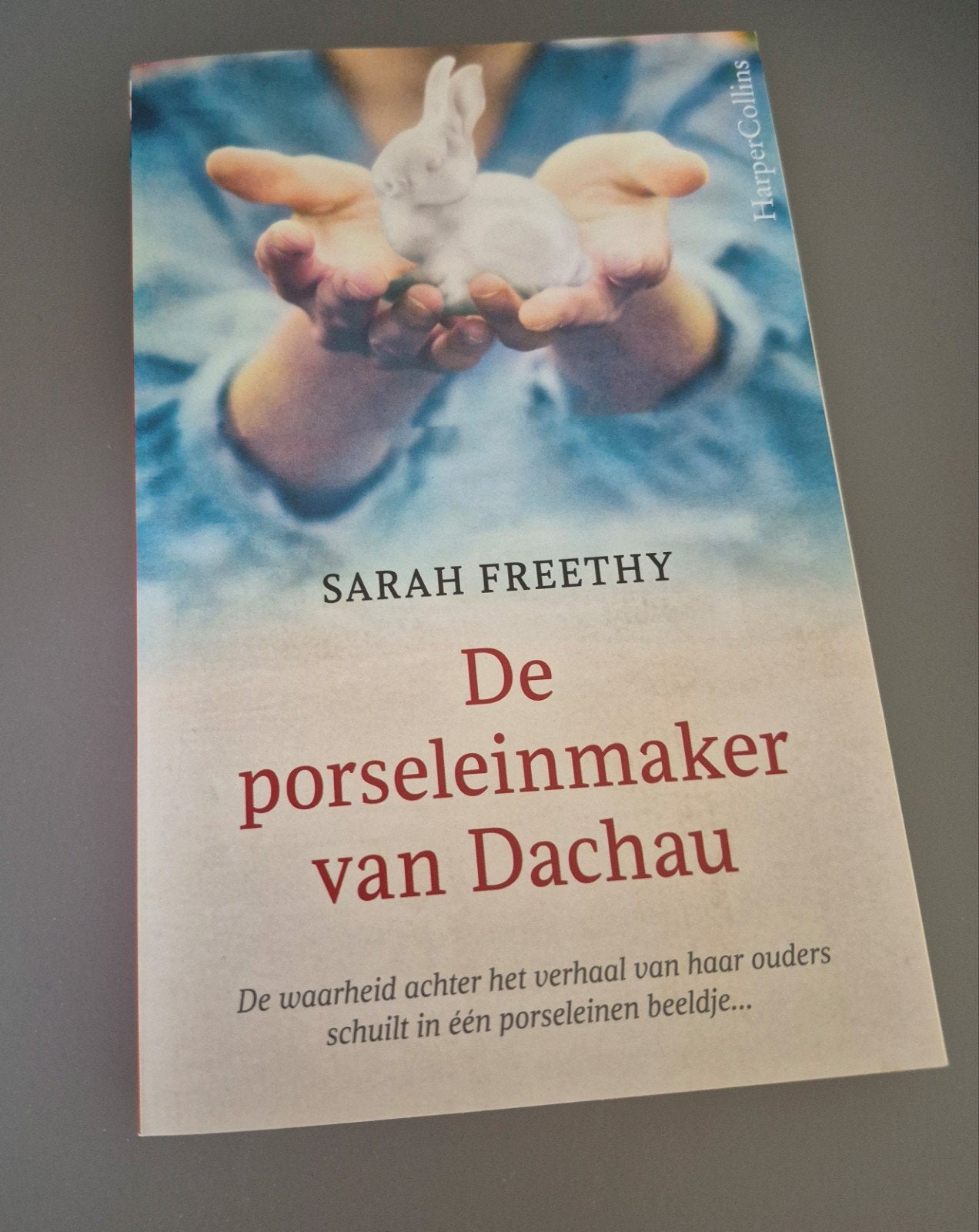 Nieuwe Sarah Freethy-De Porseleinmaker van Dachau, Ophalen of Verzenden, Nieuw