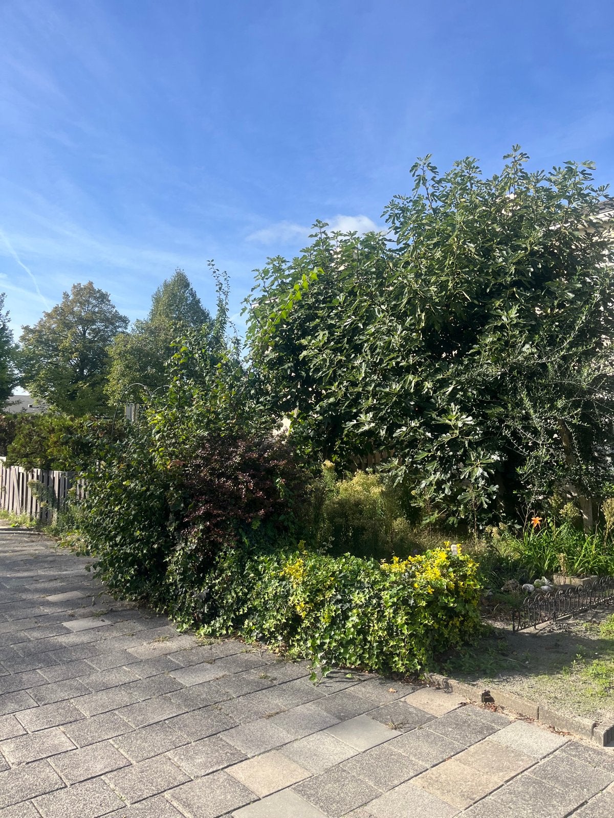 Kan iemand helpen bij een tuin