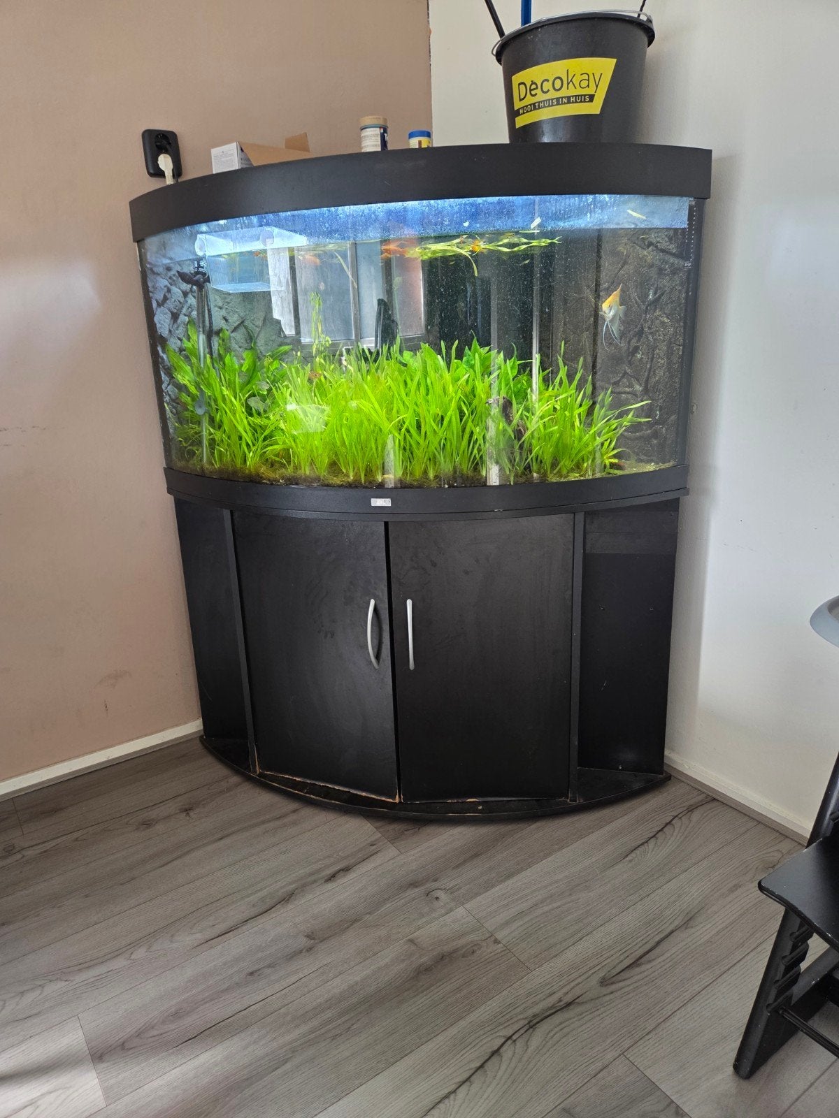 Mooi Juwel Trigon 350, Dieren en Toebehoren, Vissen | Aquaria en Toebehoren, Ophalen, Zo goed als nieuw, Leeg aquarium