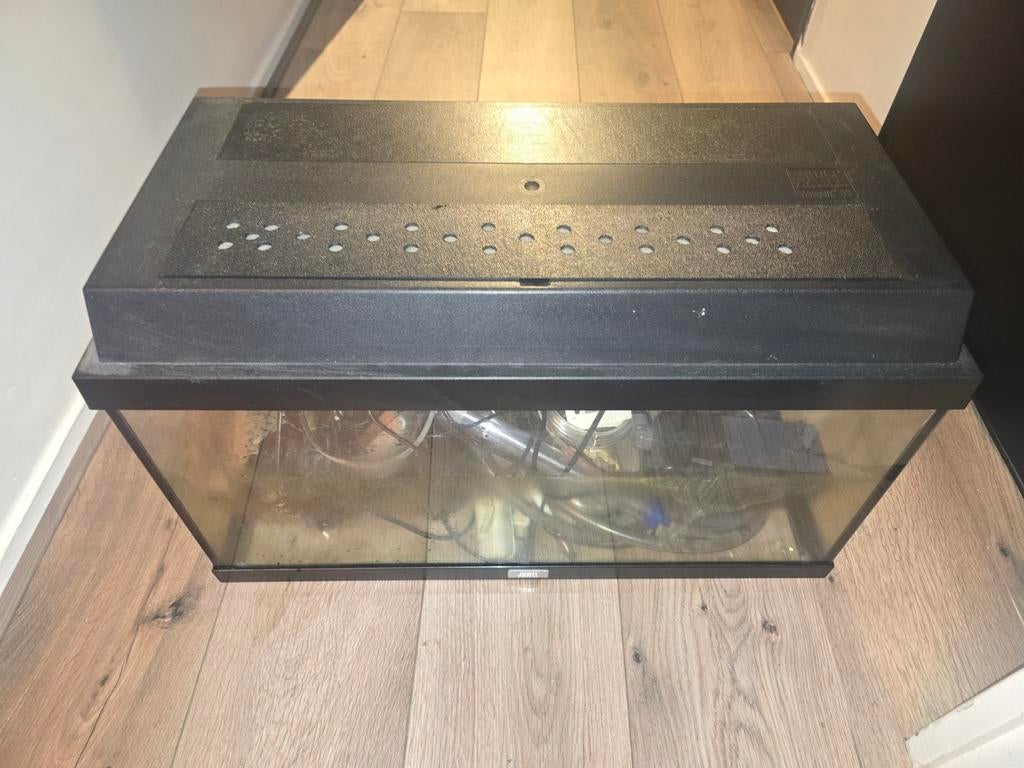 Juwel Aquarium Monolux 60 (met toebehoren), Ophalen, Gebruikt, Inclusief deksel, Leeg aquarium