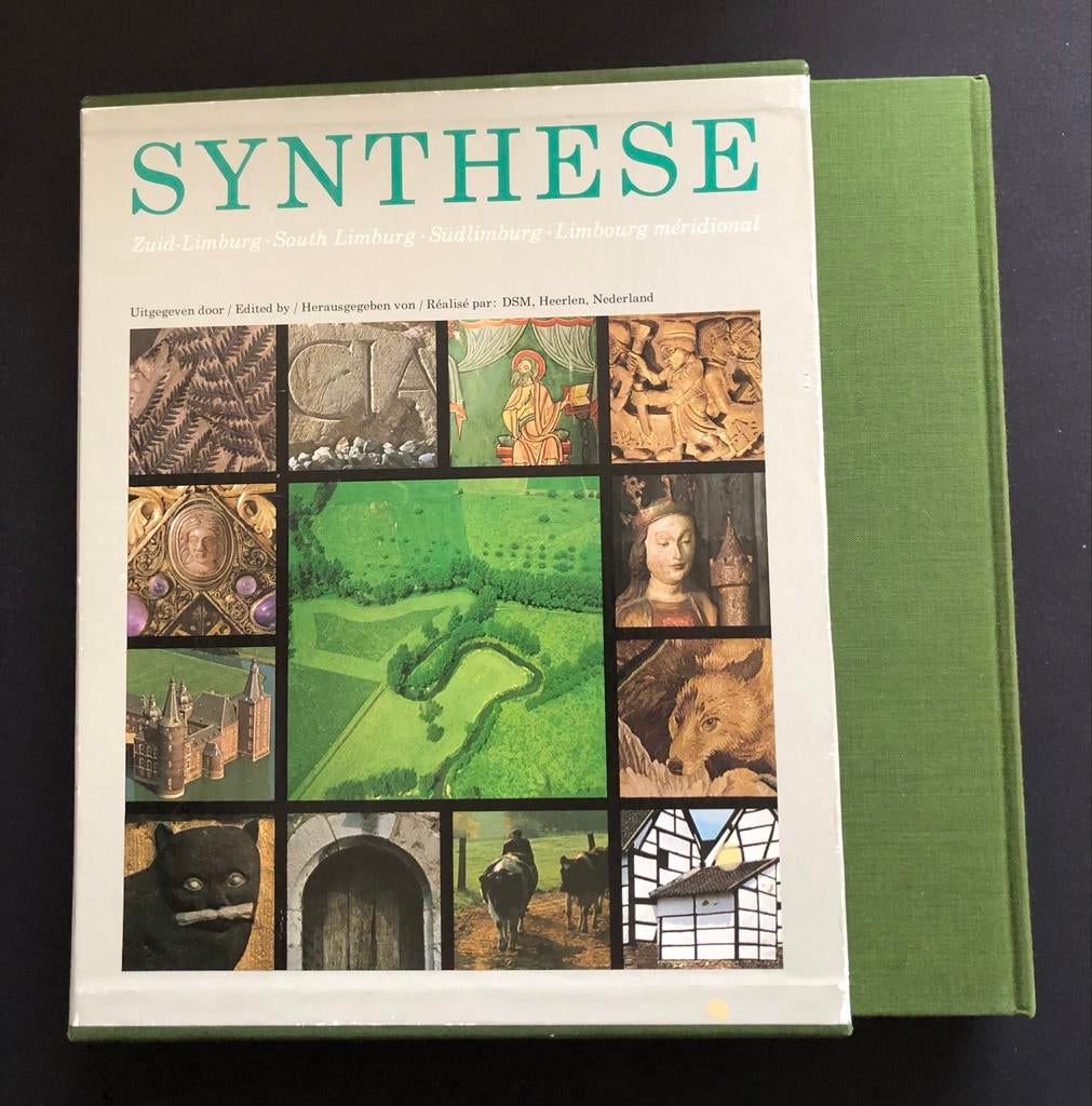 Synthese Zuid-Limburg - Prachtig Geïllustreerd Boek, Boeken, Geschiedenis | Stad en Regio, Ophalen of Verzenden, 20e eeuw of later