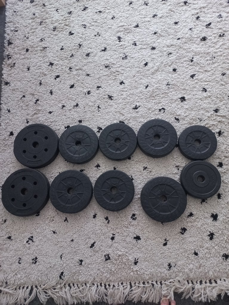 10 halterschijven van 2.5 tot 1.25 kg 25 mm gat zgan, Ophalen, Zo goed als nieuw, Armen, Halterschijven