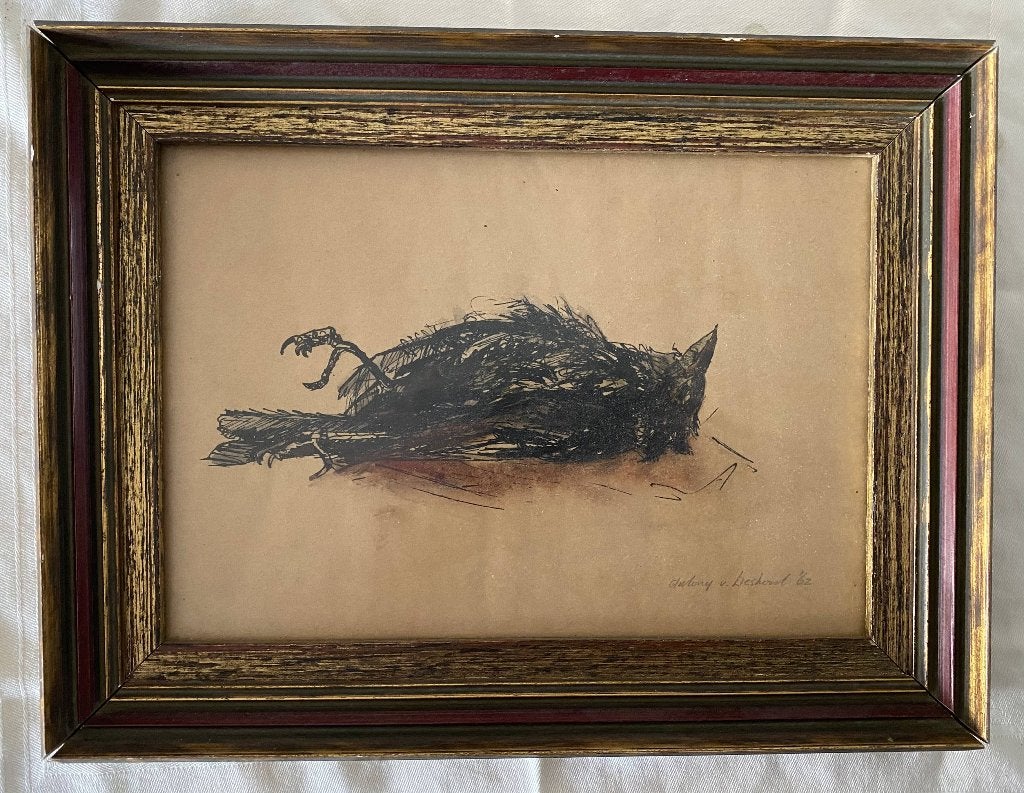 schilderij tekening dode vogel '62, Realistisch, Dieren, Ophalen of Verzenden, Tekening