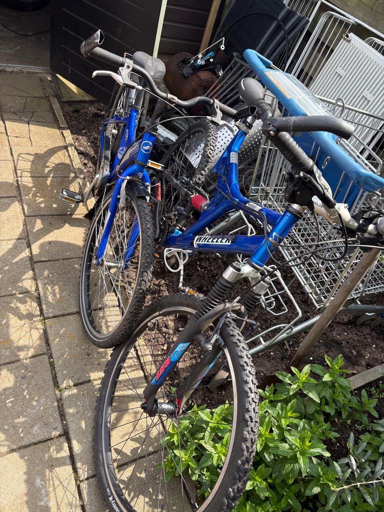 2 mountainbikes: Wheeler en Giant (zonder slot), Ophalen of Verzenden, Zo goed als nieuw