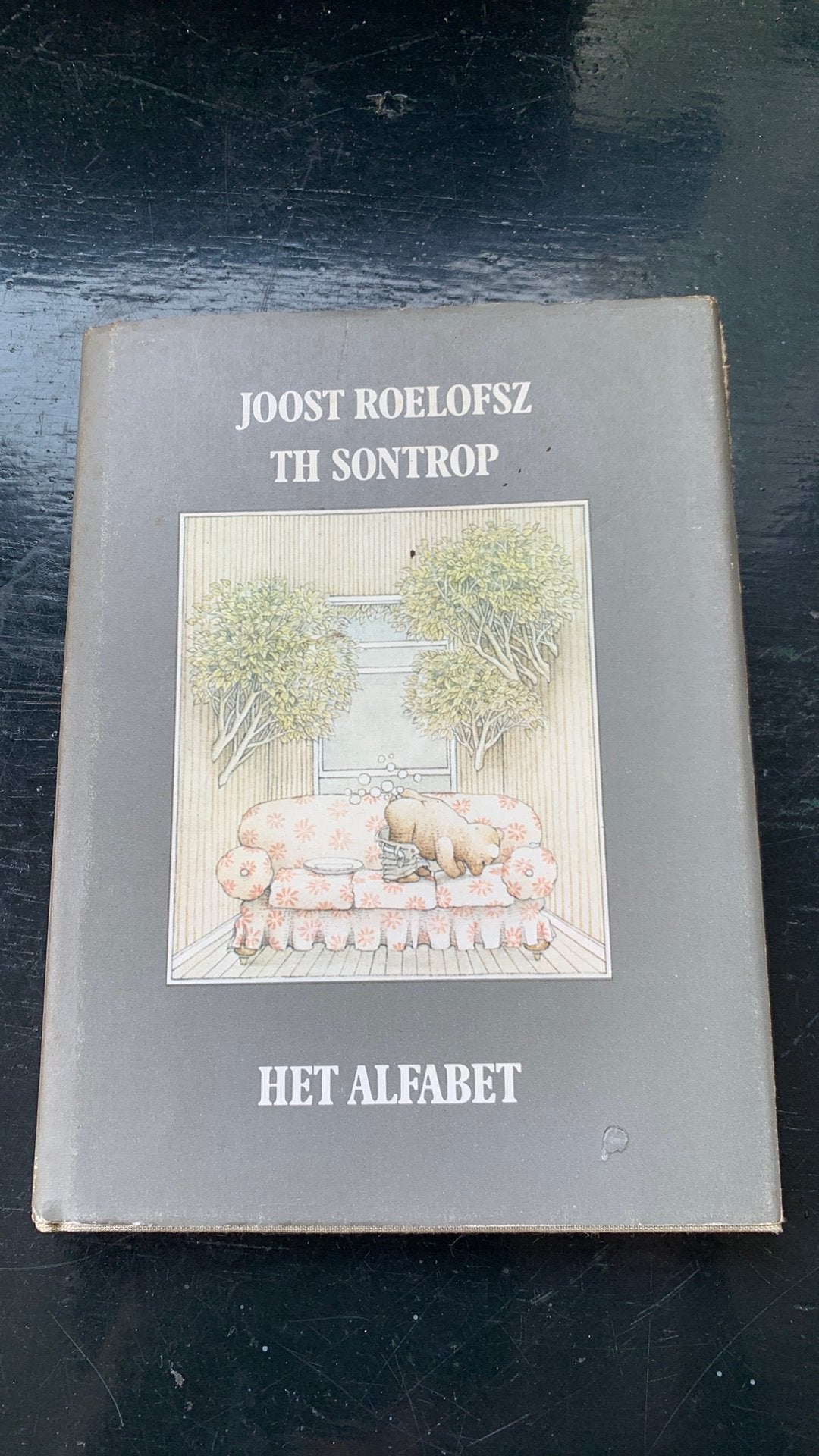 Het Alfabet - Joost Roelofsz & Th. Sontrop, Ophalen of Verzenden, Gelezen