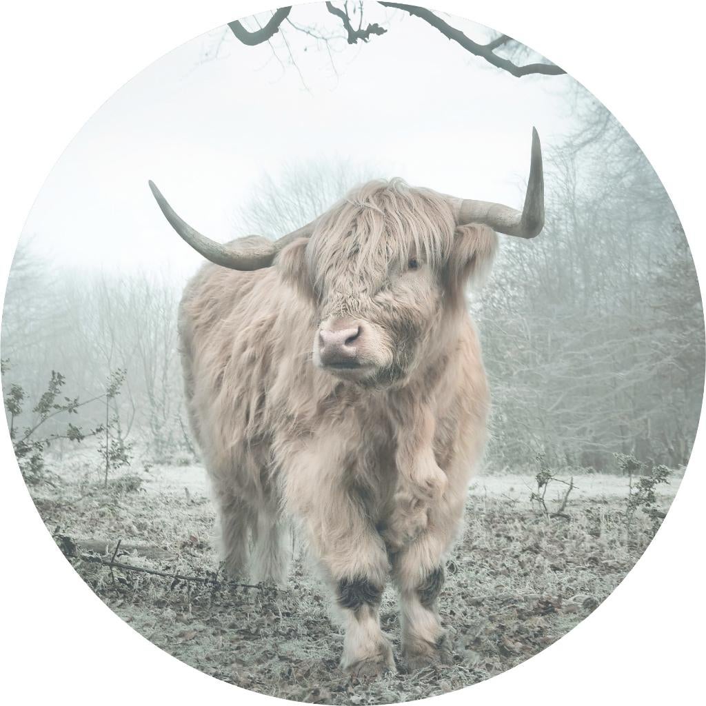 Behangcirkel Schotse Hooglander, Muurcirkel zelfkl vlies 140, Huis en Inrichting, Woonaccessoires | Wanddecoraties, Verzenden
