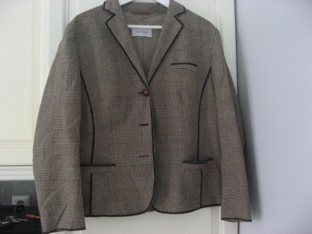 geruit plissee wolmix jasje van Joseph Janard, mt 4/ 42, Verzenden, Beige, Maat 42/44 (L), Zo goed als nieuw