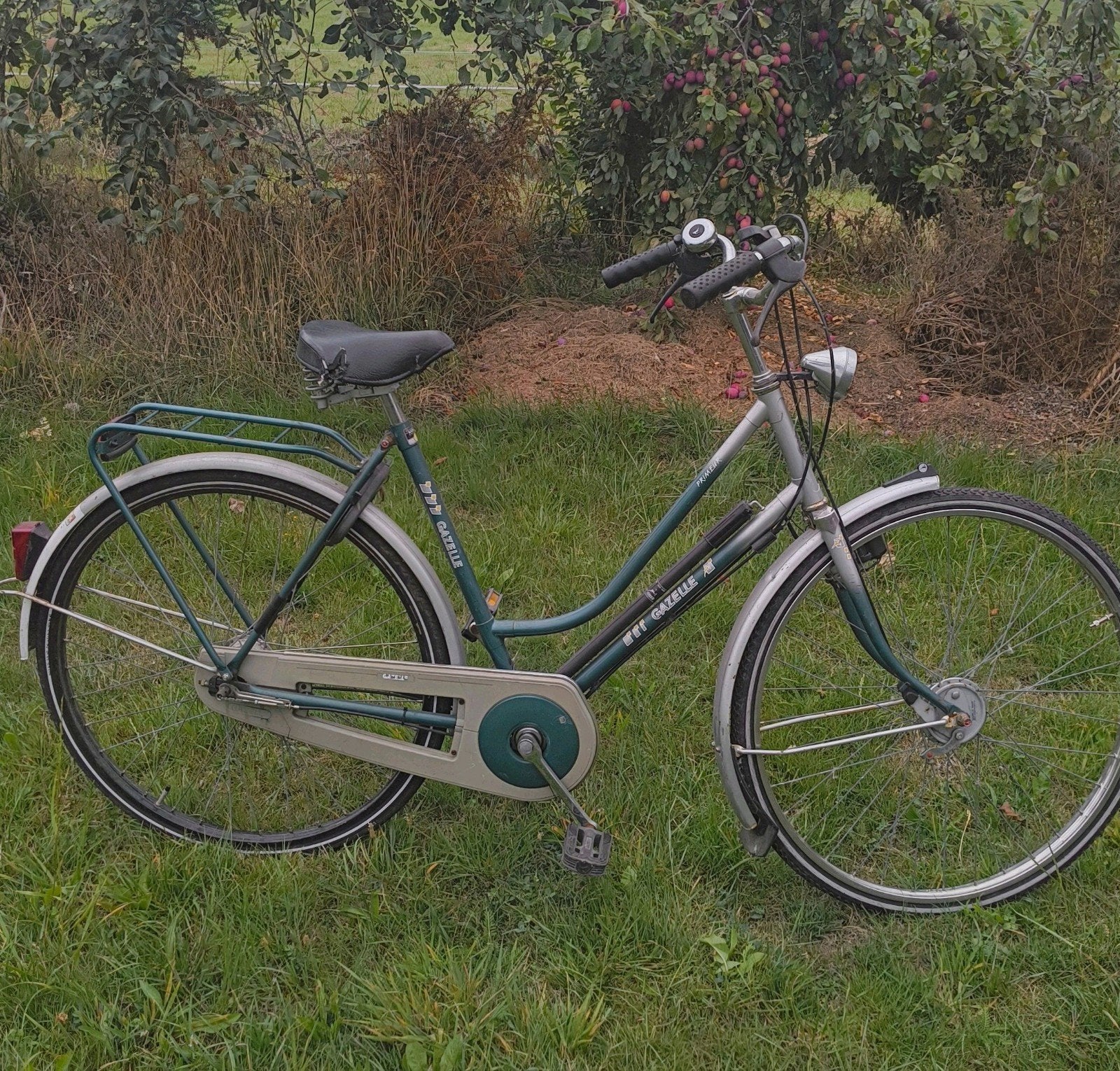 Solide Stationsfiets | Gazelle Primeur, Ophalen, Versnellingen, Gazelle, Trommelrem