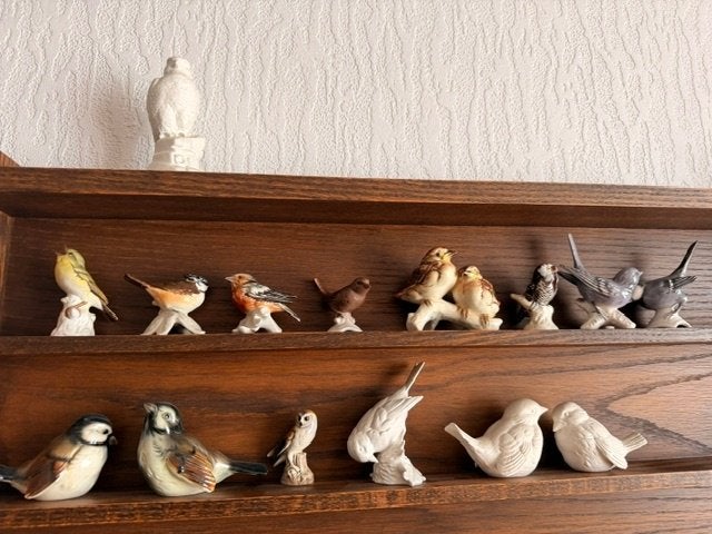 15 goebel vogels, Ophalen, Zo goed als nieuw, Dier