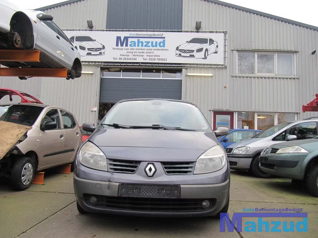 RENAULT GRAND SC NIC plaatwerk carrosserie dorpel stijl dak, Renault Group, Gebruikt, Contact.group@renault.com, Renault
