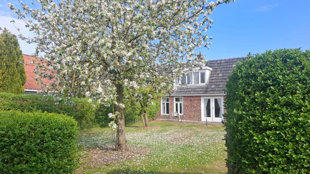 Lekkum  landelijke  gelegen  woning te huur.