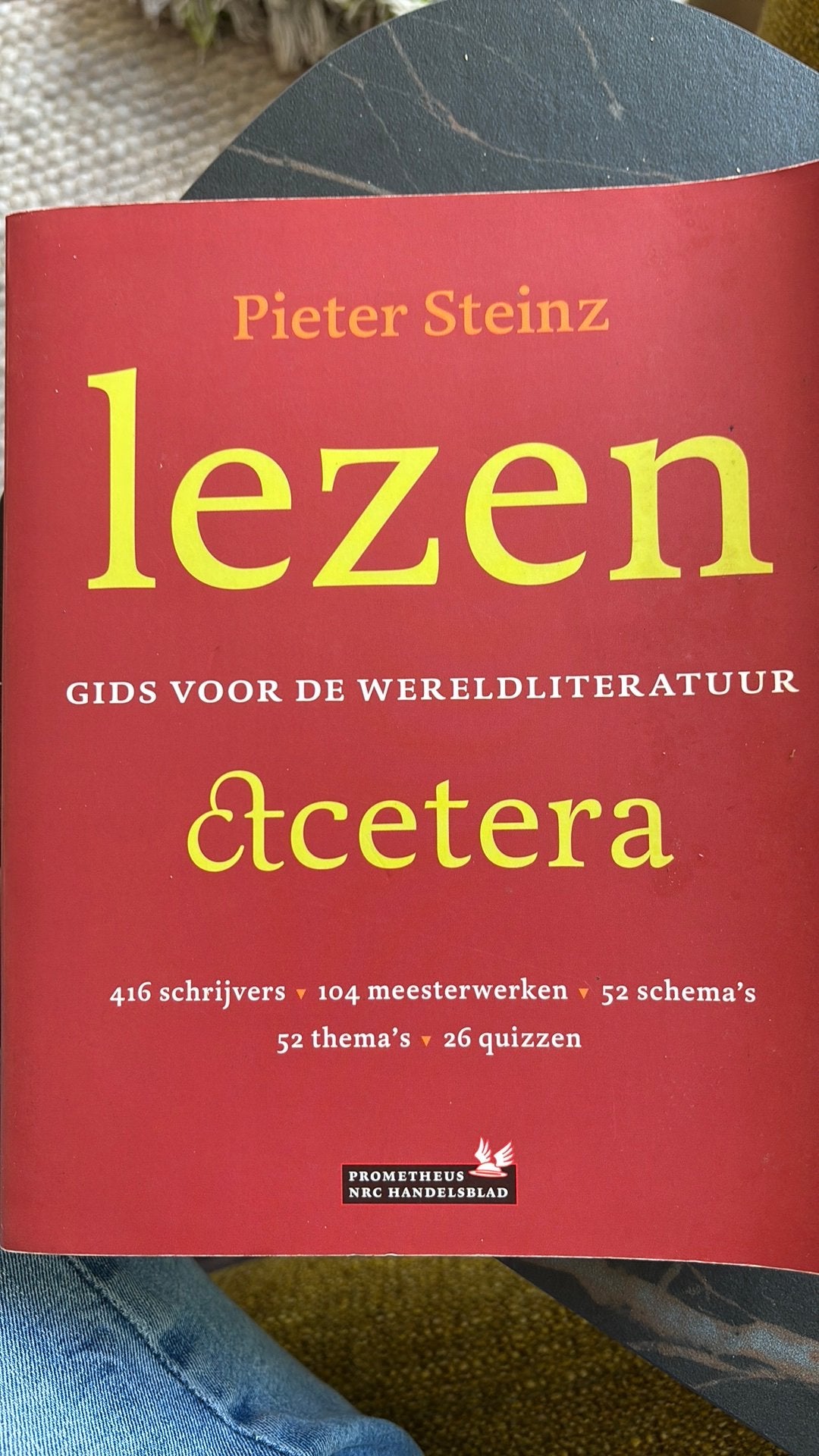 Pieter Steinz - Lezen &cetera, Sociale wetenschap, Ophalen of Verzenden, Zo goed als nieuw, Pieter Steinz