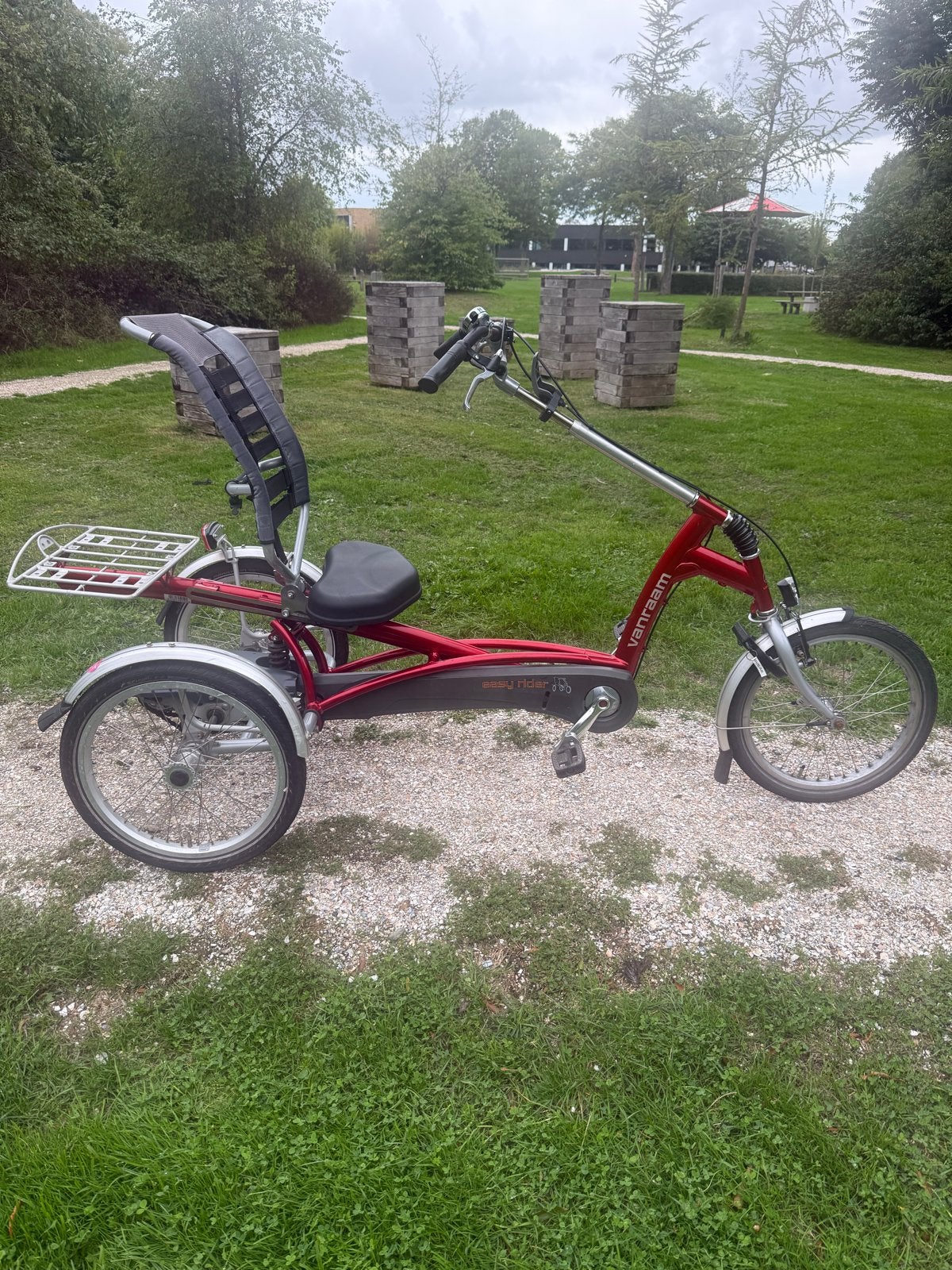 Van Raam Easy Rider Driewieler - Niet Elektrisch, Fietsen en Brommers, Fietsen | Driewielfietsen, Ophalen of Verzenden, Zo goed als nieuw