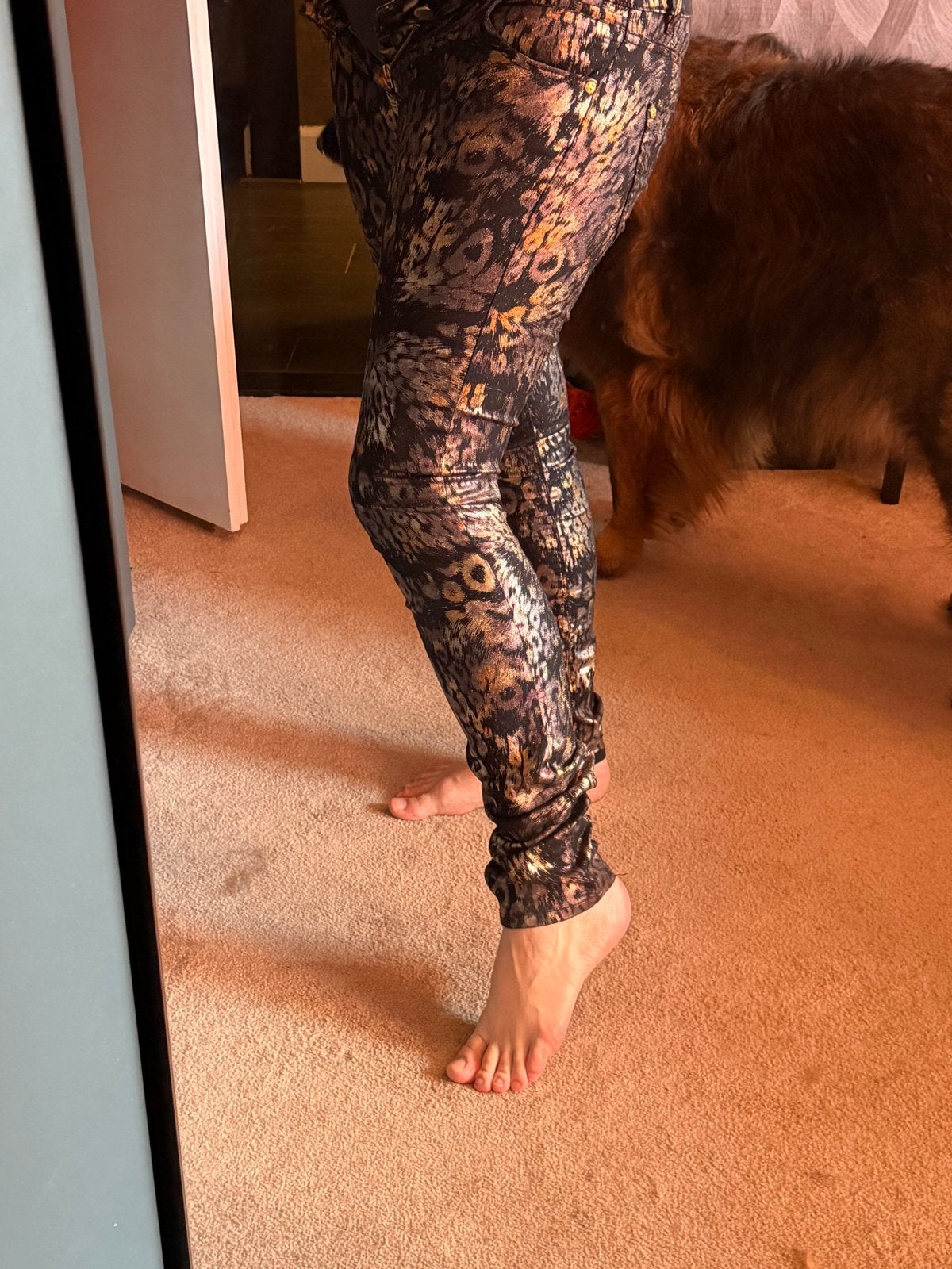 Stylist's Own JOLIEN Legging Maat S - Zwart/Goud Panterprint, Kleding | Dames, Zwart, Nieuw, Ophalen of Verzenden, Maat 36 (S)