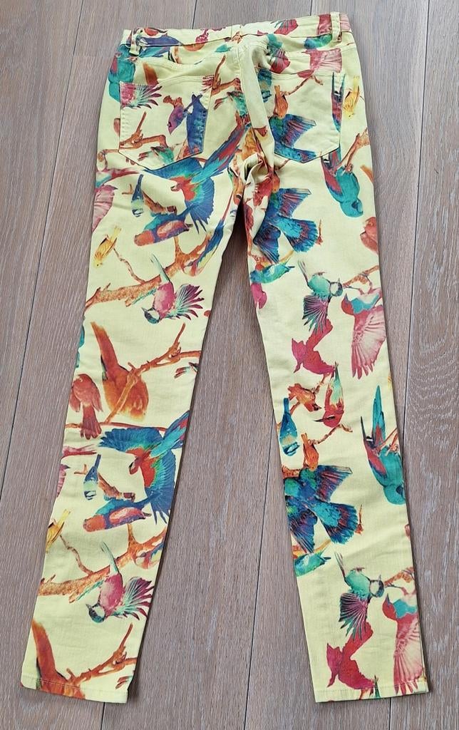 Jade Twelve Eden Gele Broek met Vogelprint Maat 36 (S), Geel, Ophalen of Verzenden, Zo goed als nieuw, Maat 36 (S)