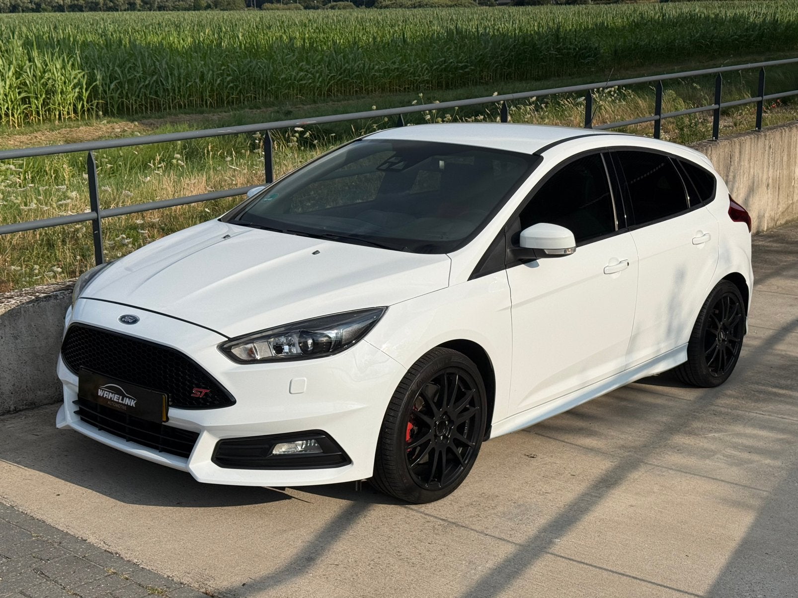Ford Focus ST 2.0 Ecoboost 184KW 5DRS H6 2016 Wit, 4 cilinders, Wit, Bedrijf, Handgeschakeld