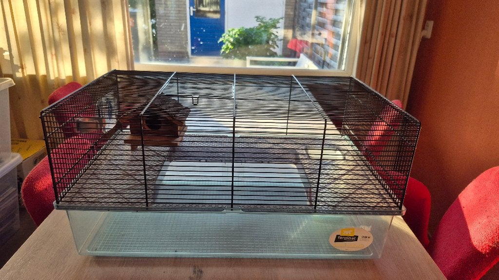 Hamster Hokje, Minder dan 75 cm, Zo goed als nieuw, Ophalen, Minder dan 60 cm