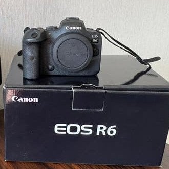 Canon EOS R6 body - Goed onderhouden, Ophalen, Gebruikt, Canon, Systeemcamera