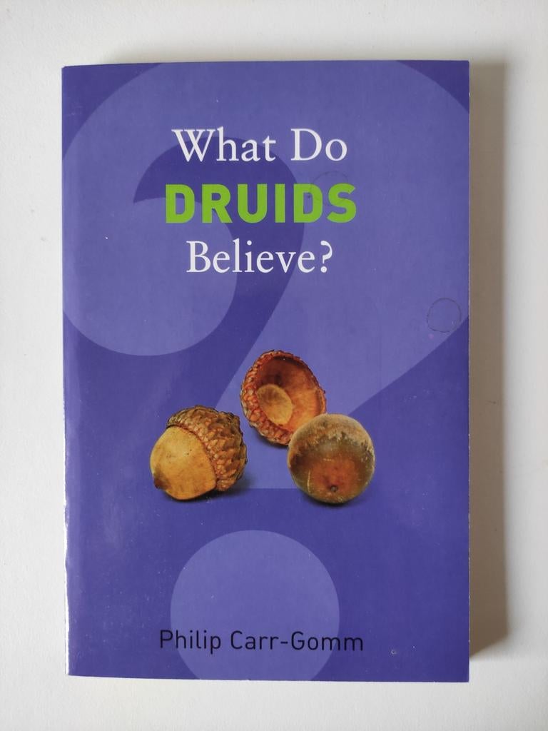 What Do Druids Believe? - Philip Carr-Gomm, Boeken, Achtergrond en Informatie, Spiritualiteit algemeen, Philip carr-gomm, Ophalen of Verzenden