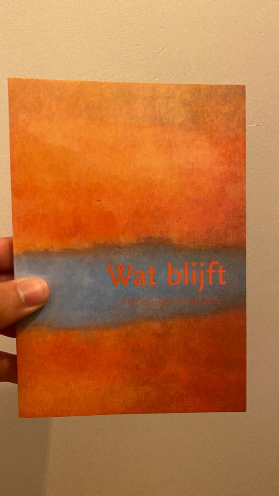 Wat blijft - Patricia de Martelaere (Filosofie), Boeken, Ophalen of Verzenden, Zo goed als nieuw, Wijsbegeerte of Ethiek