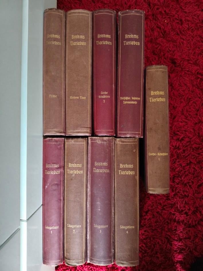 Brehms Tierleben encyclopedieën ( 9 stuks ), Boeken, Encyclopedieën, Ophalen of Verzenden, Gelezen, Dieren
