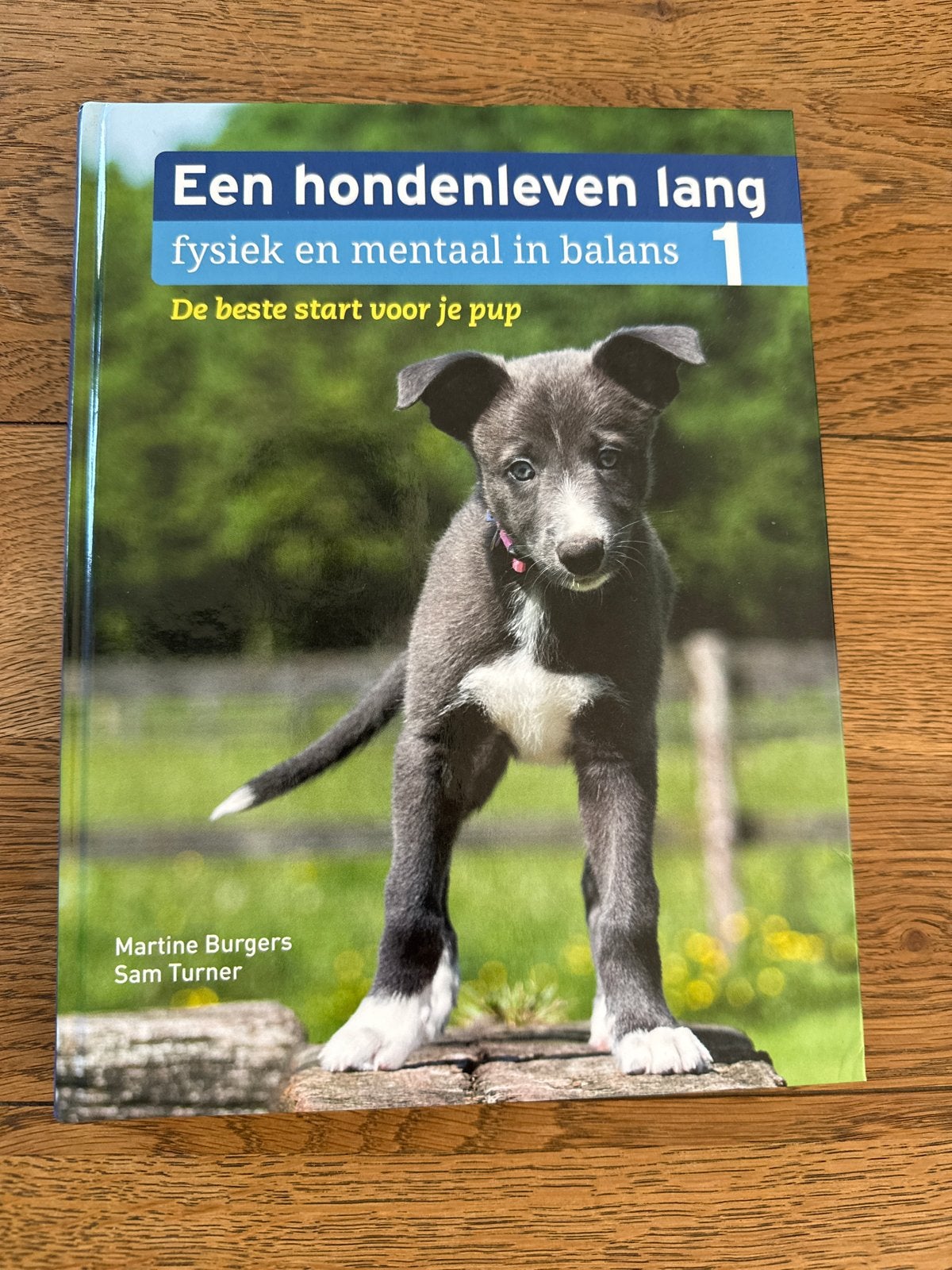 Een hondenleven lang: De beste start voor je pup, Boeken, Ophalen of Verzenden, Zo goed als nieuw, Honden