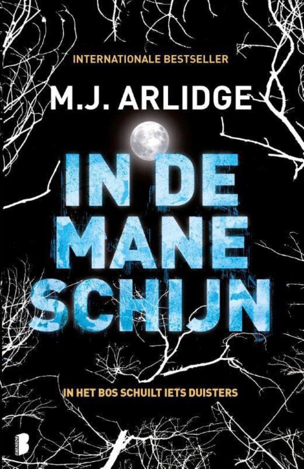 M.J. Arlidge - In de maneschijn. Deel 8. Vaderdag cadeau, Ophalen of Verzenden, Zo goed als nieuw