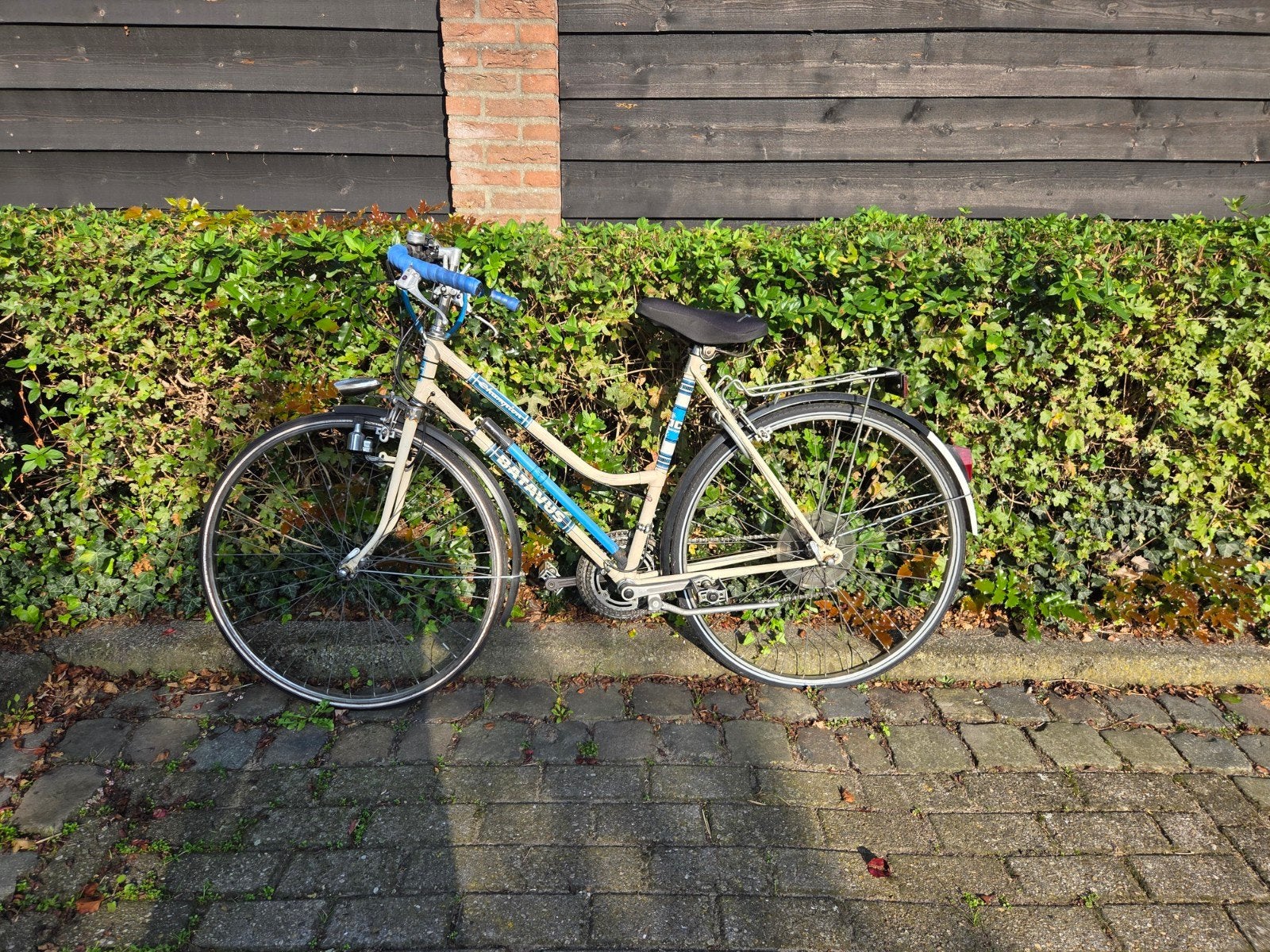 Vintage Batavus Toerfiets - Onderhoud Nodig, Scherpe Prijs, Fietsen en Brommers, Velgrem, Batavus, Ophalen of Verzenden, Minder dan 10 versnellingen