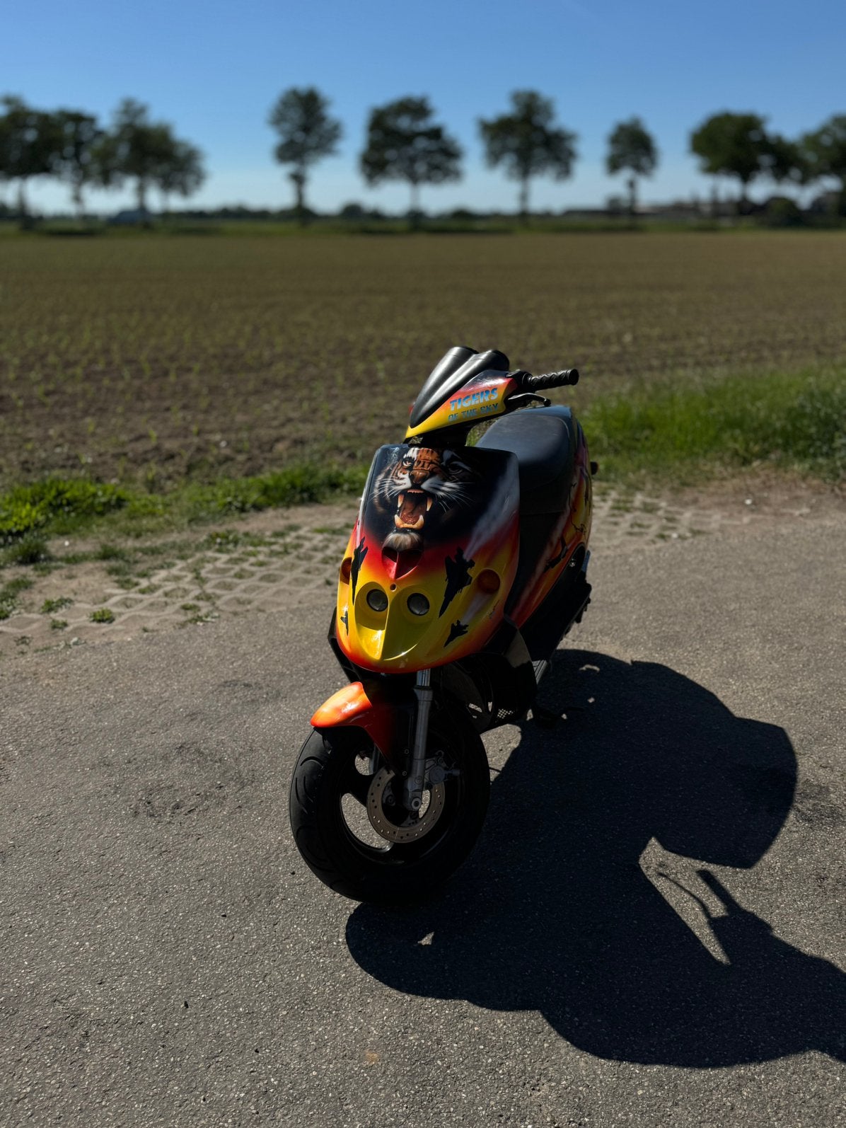Malaguti f12 tigers of de sky, Fietsen en Brommers, Ophalen of Verzenden, Zo goed als nieuw, Benzine, Overige modellen