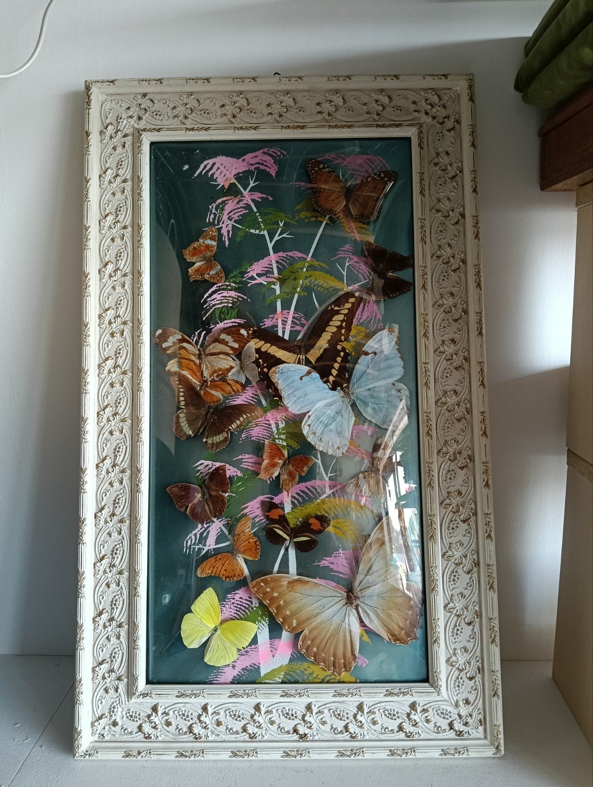 Vintage lijst met vlinders uit Zweden - 60x36 cm, 50 – 75, Minder dan 50 cm, Gebruikt, Geen