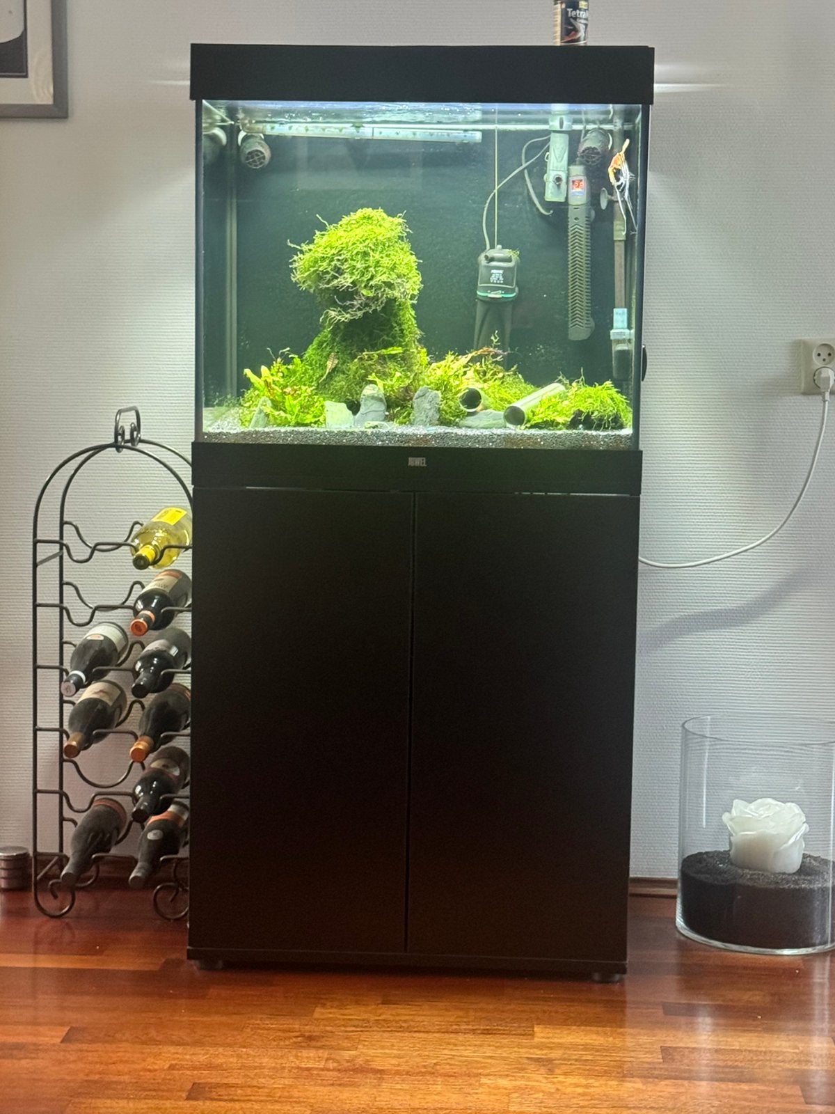 Juwel lido 200 ltr aquarium met bijbehorend meubel., Ophalen, Inclusief vissen, Juwel, Gevuld zoetwateraquarium