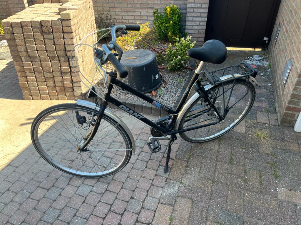 Giant Cityfiets - Opknapper, Ophalen, Velgrem, Versnellingen, Giant