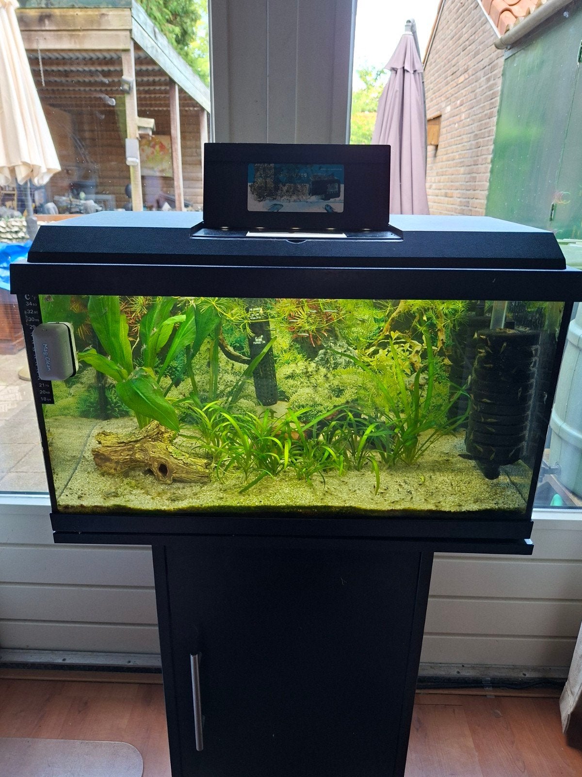 Jewel aquarium 60 liter compleet met inhoud, Ophalen, Zo goed als nieuw, Gevuld zoetwateraquarium