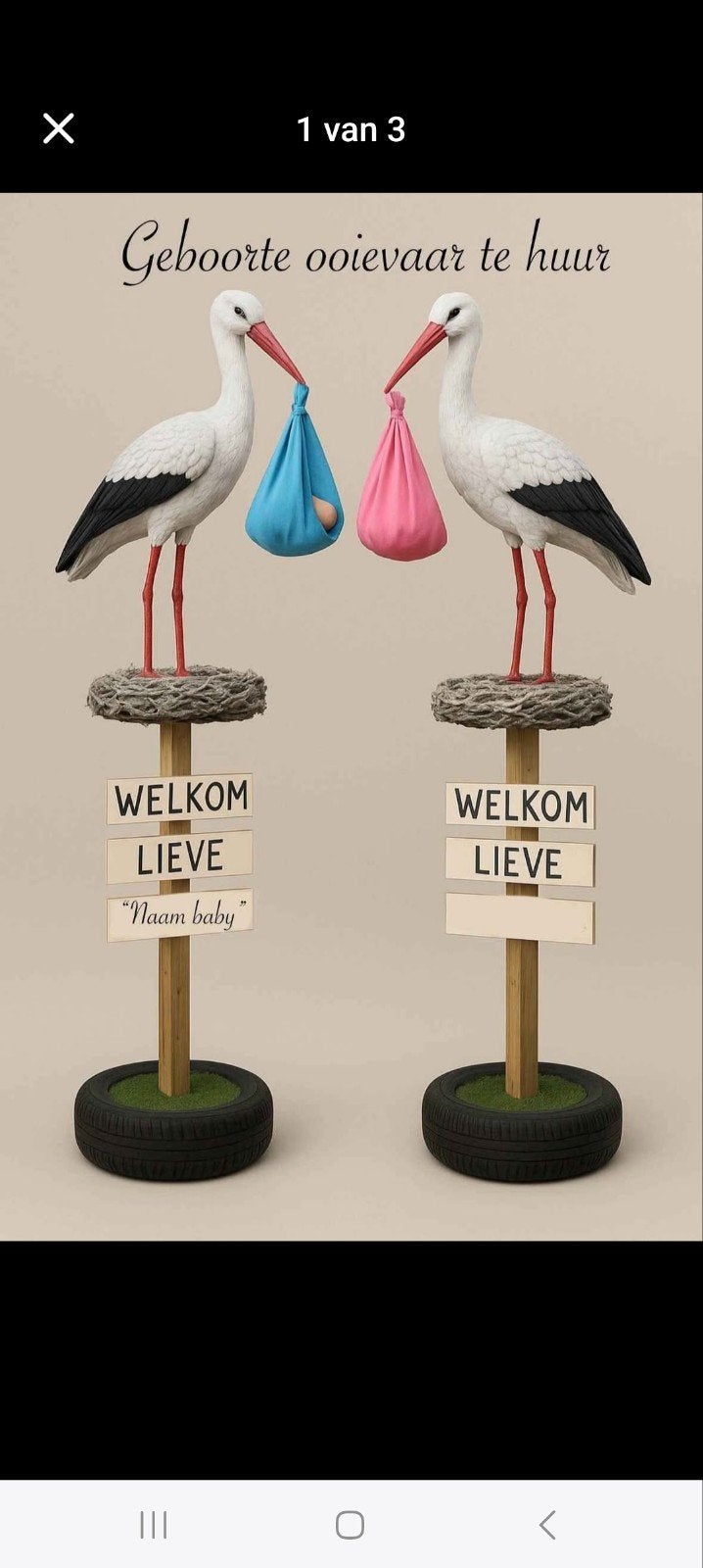 Geboorte ooievaar, geboortebord en landingsplaats te huur, Kinderen en Baby's, Kraamcadeaus en Geboorteborden, Ophalen