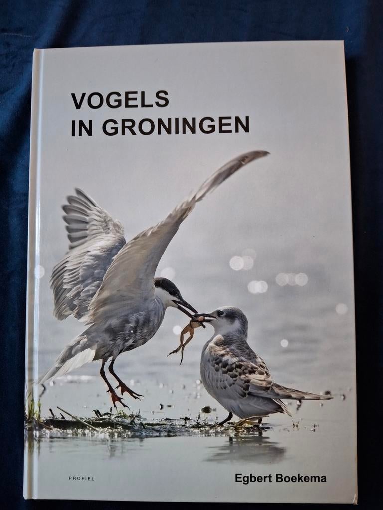 Informatief boek :Vogels in Groningen door Egbert Boekema, Boeken, Ophalen of Verzenden, Zo goed als nieuw, Vogels, Egbert boekema