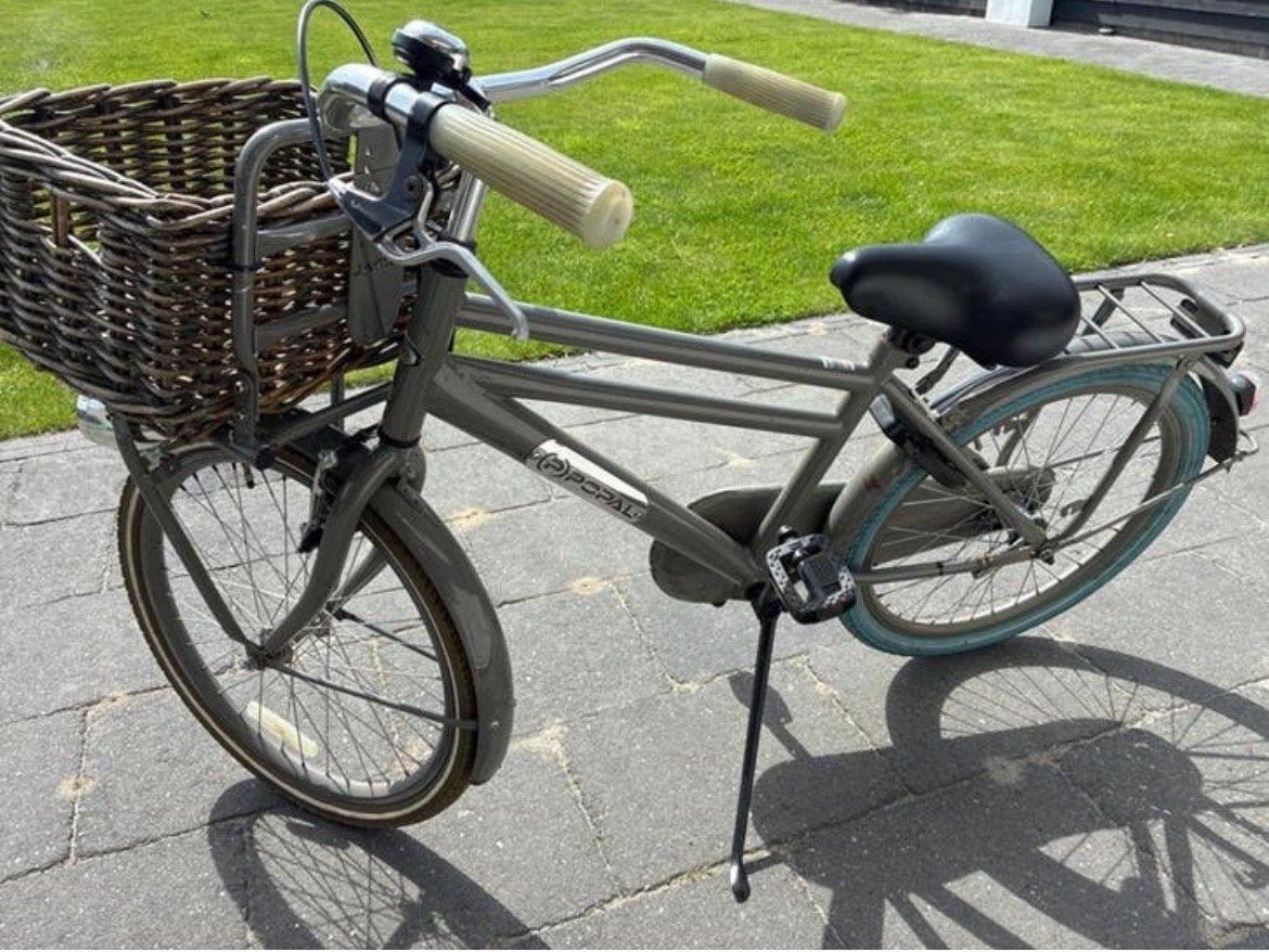 Popal Cargo Jongensfiets Grijs 22 inch, Ophalen, Terugtraprem, 22 inch, Gebruikt