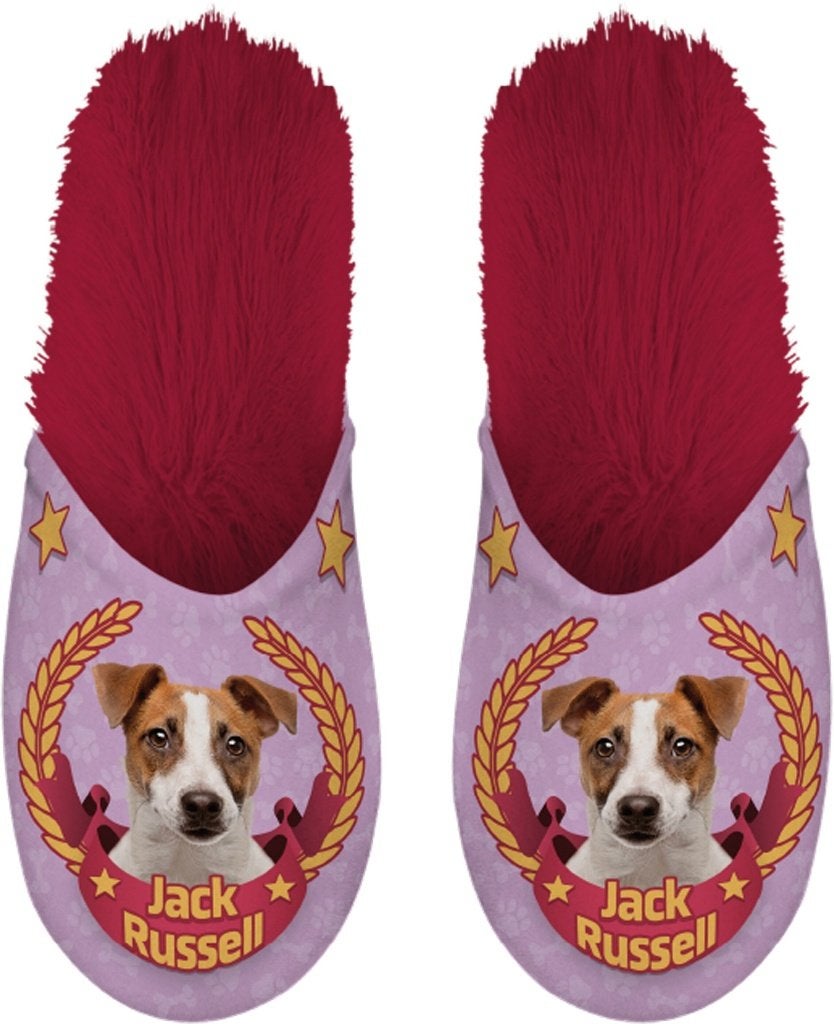 Slippers - Jack Russel - maat 39-42 - Verkoop voor goed doel, Slippers, Overige kleuren, Nieuw, Ophalen of Verzenden