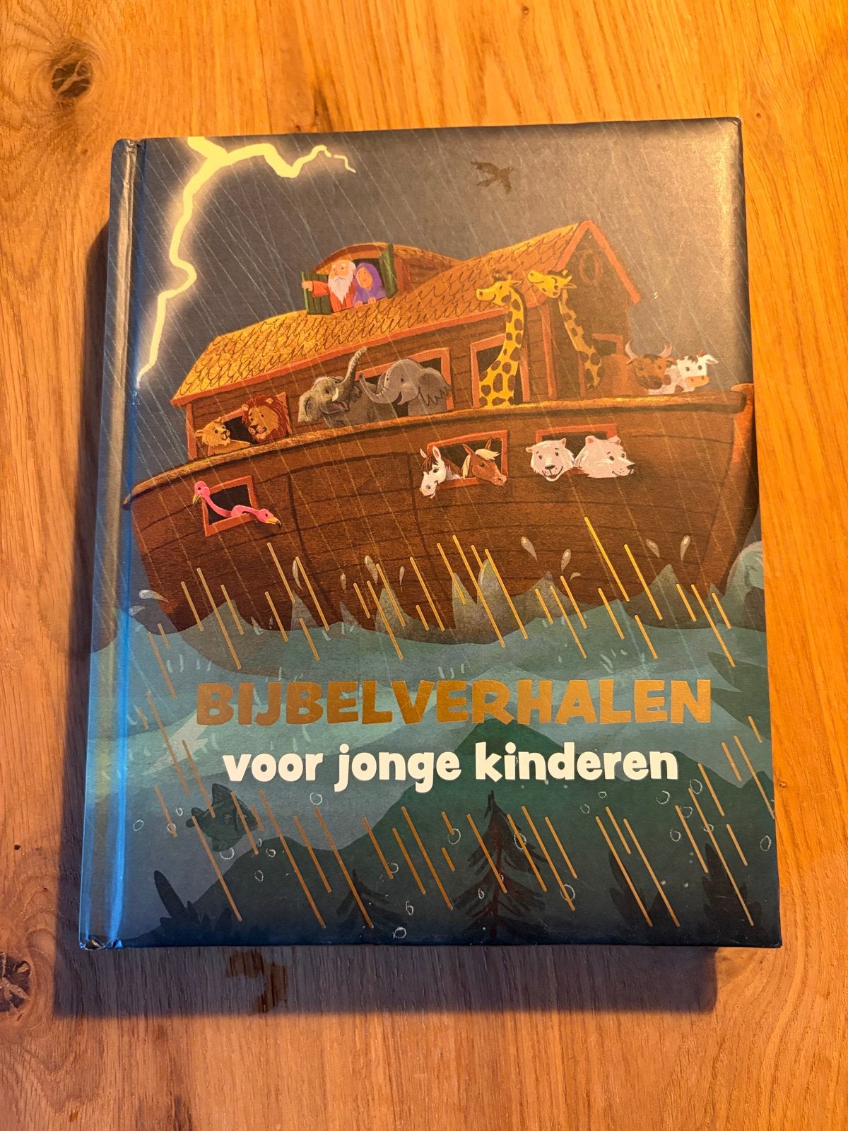 Bijbelverhalen voor jonge kinderen - Prachtig geïllustreerd, Ophalen of Verzenden, Zo goed als nieuw, Christendom | Katholiek