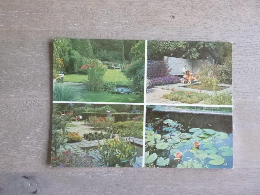 Dedemsvaart, vijvertuinen bij kon. kwekerij Moerheim 1971, Verzenden, 1960 tot 1980, Ongelopen, Noord-Brabant