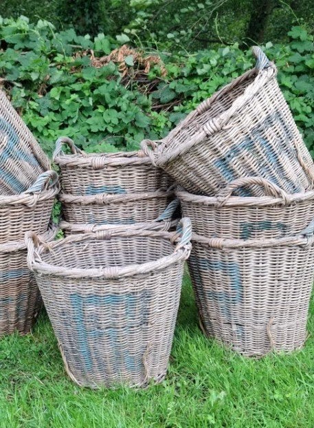 Oude rieten bollenmand bloembollenmand mand aardappels korf, Ophalen of Verzenden