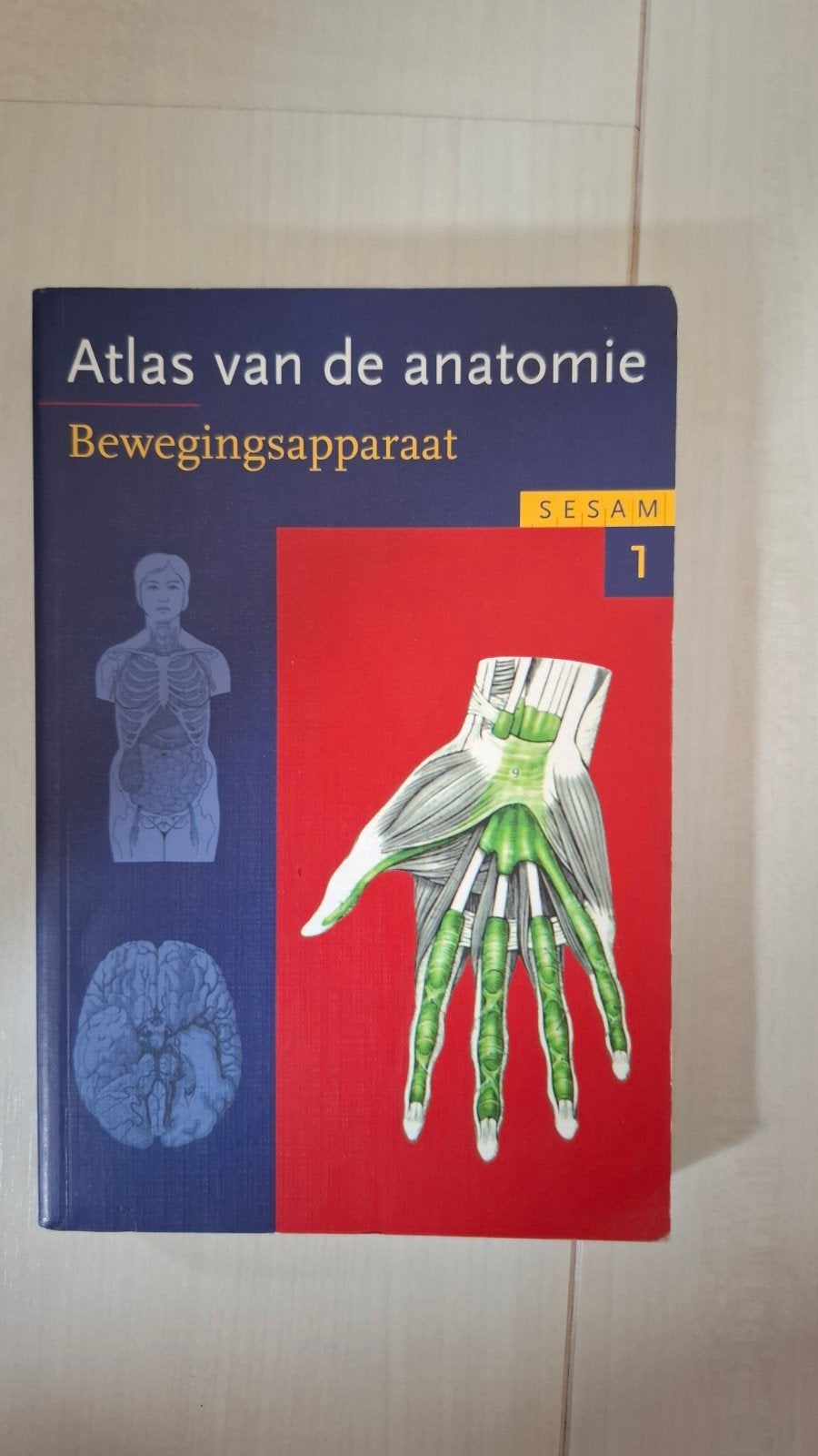 Atlas van de anatomie: Bewegingsapparaat (deel 1), Zo goed als nieuw, Niet gespecificeerd op de cover, Beta, HBO