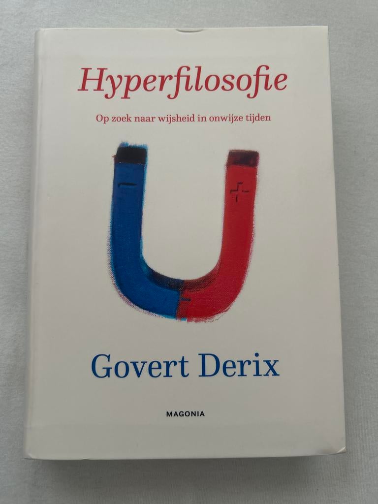 Hyperfilosofie: Op zoek naar wijsheid in onwijze tijden, Boeken, Ophalen of Verzenden, Zo goed als nieuw, Cultuurfilosofie