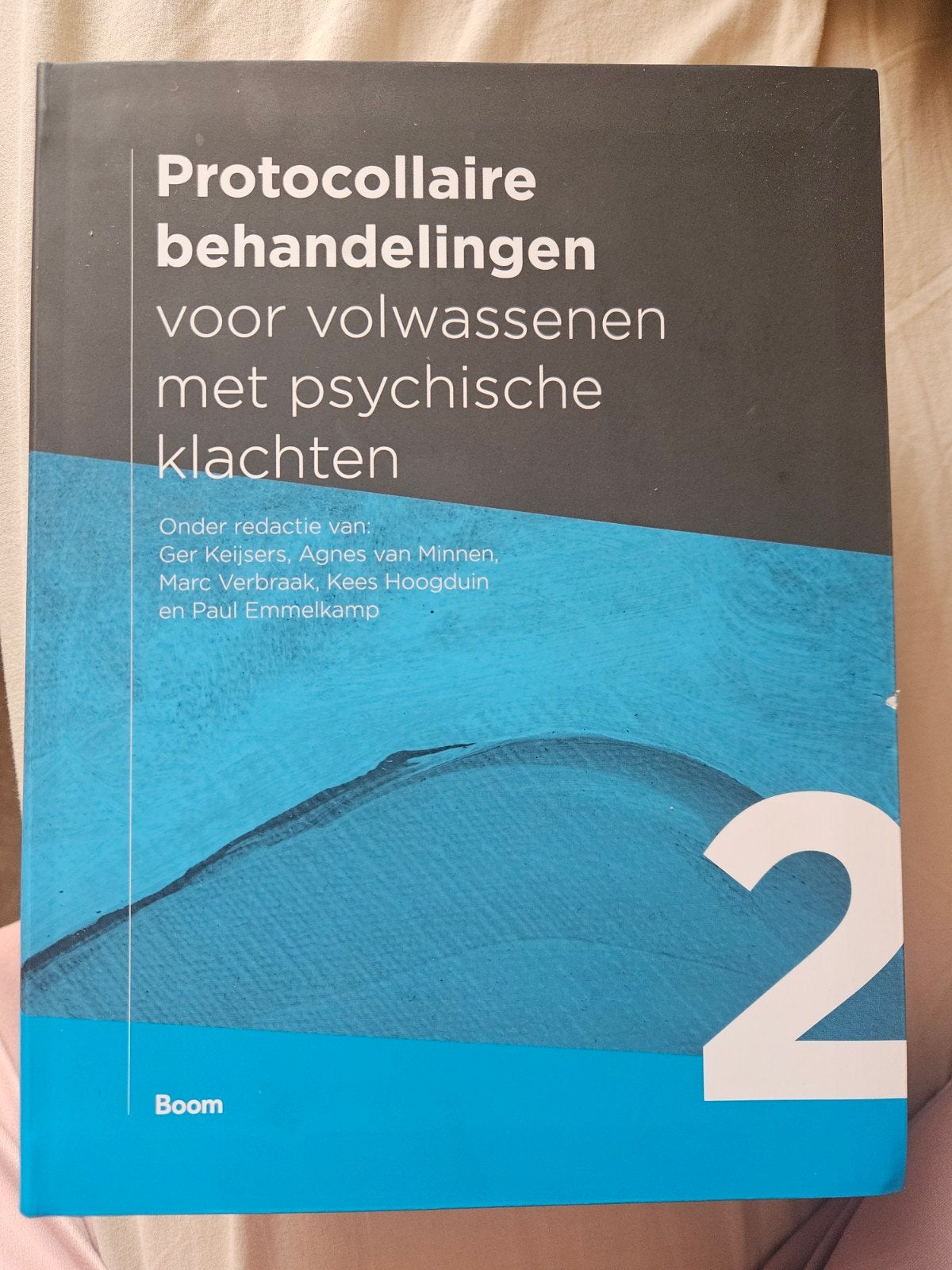 Protocollaire behandelingen volwassenen psychische klachten, Ophalen of Verzenden
