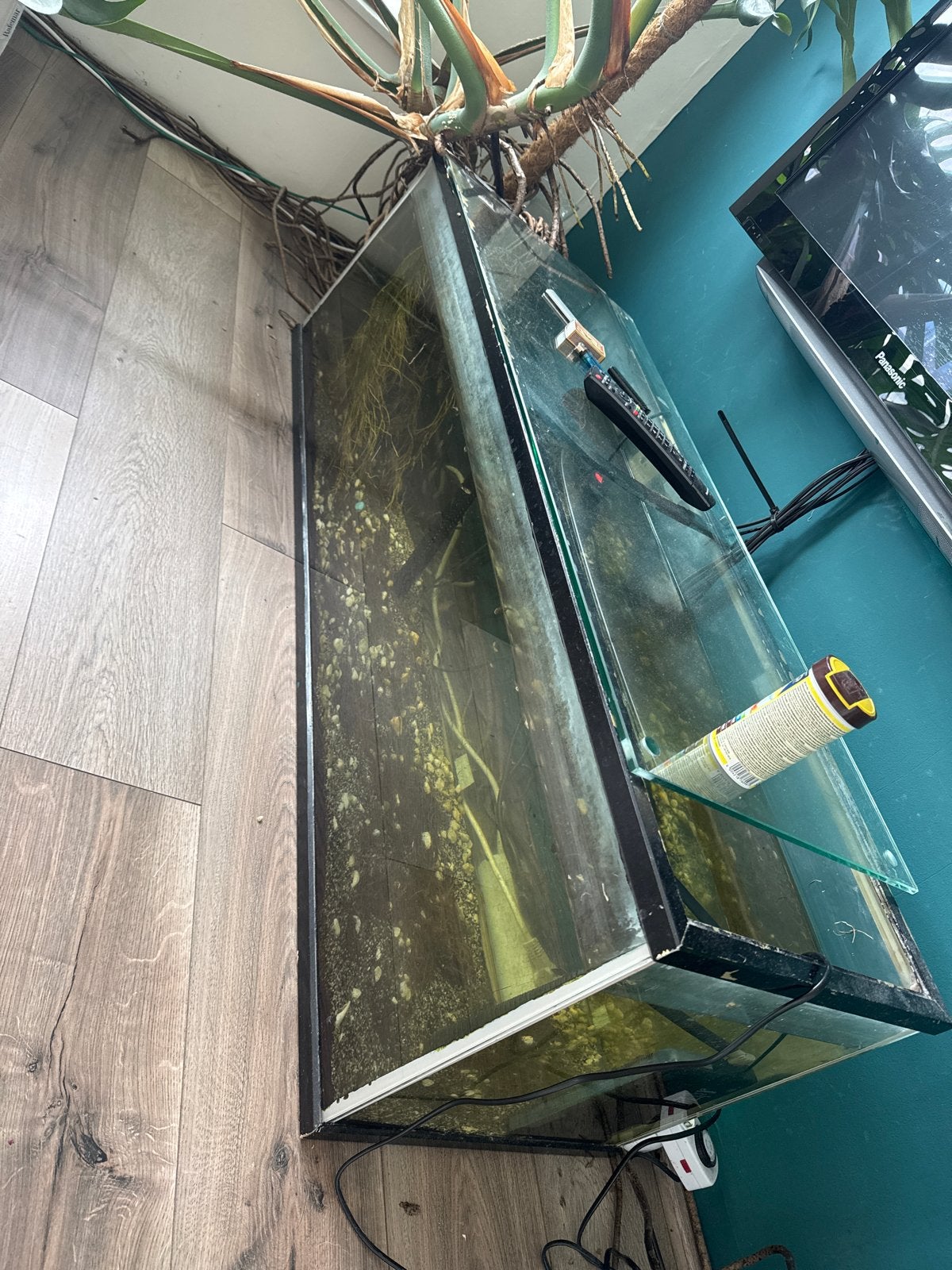 Aquarium 130x40x40, Ophalen