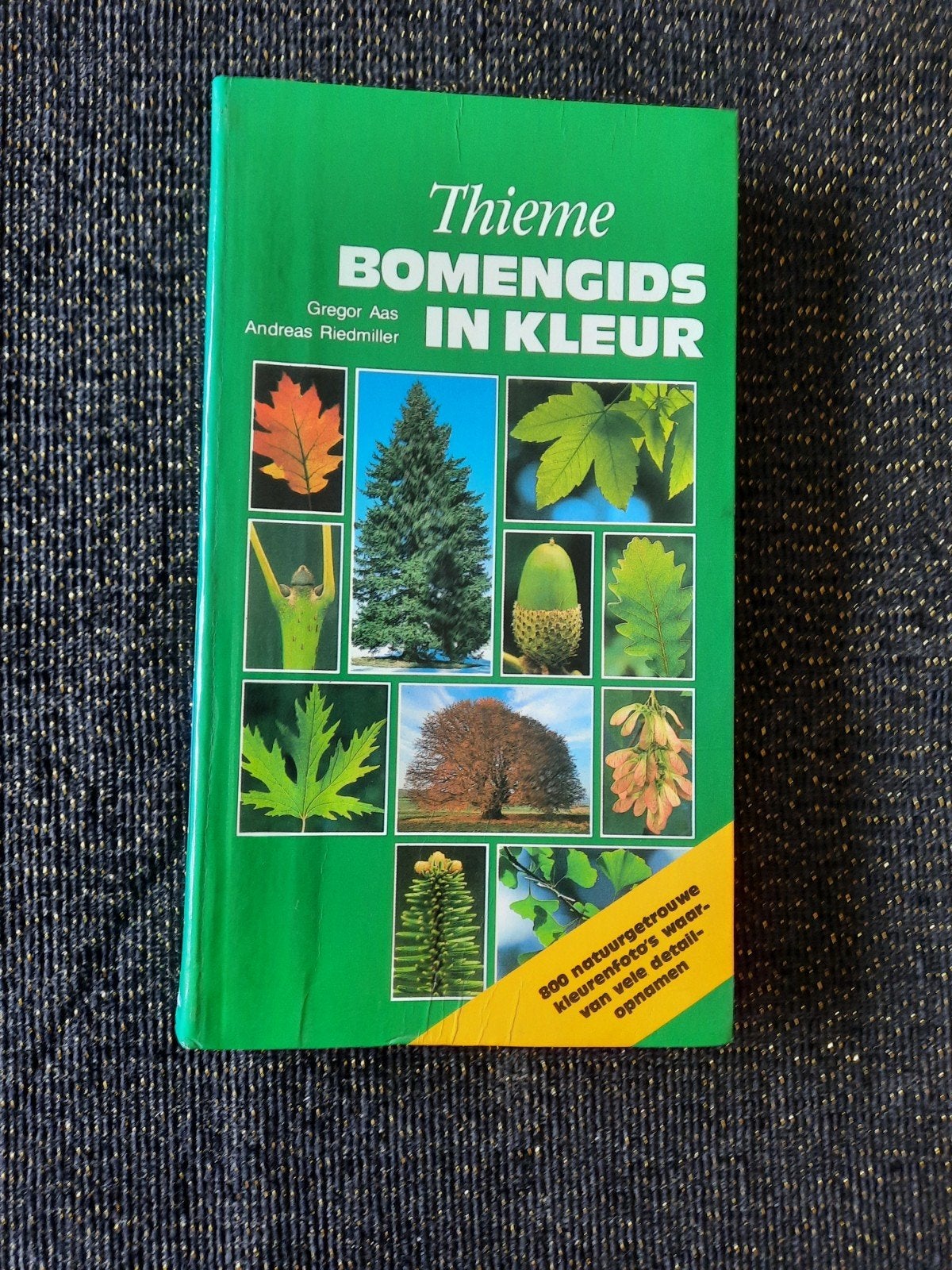 Thieme Bomengids in Kleur - Handzame Gids - 257 blz, Ophalen of Verzenden