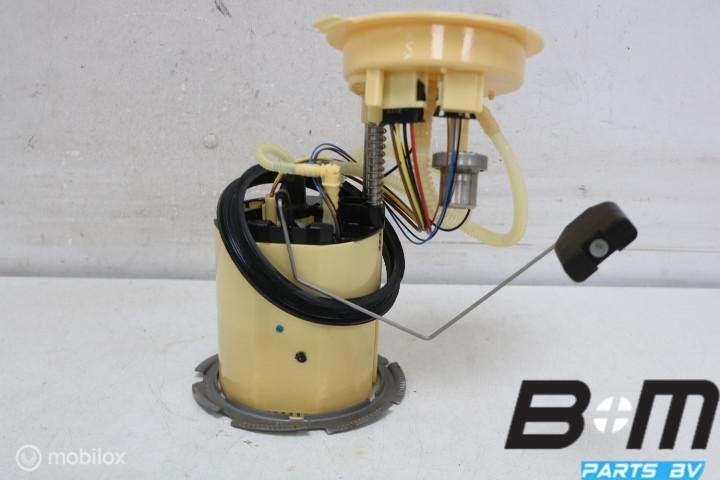 Brandstofpomp Audi A6 4G 4G0919050C, Gebruikt