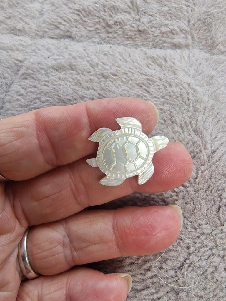 Broche schildpad van parelmoer, Sieraden, Tassen en Uiterlijk, Broches, Overige materialen, Gebruikt, Wit, Minder dan 4 cm