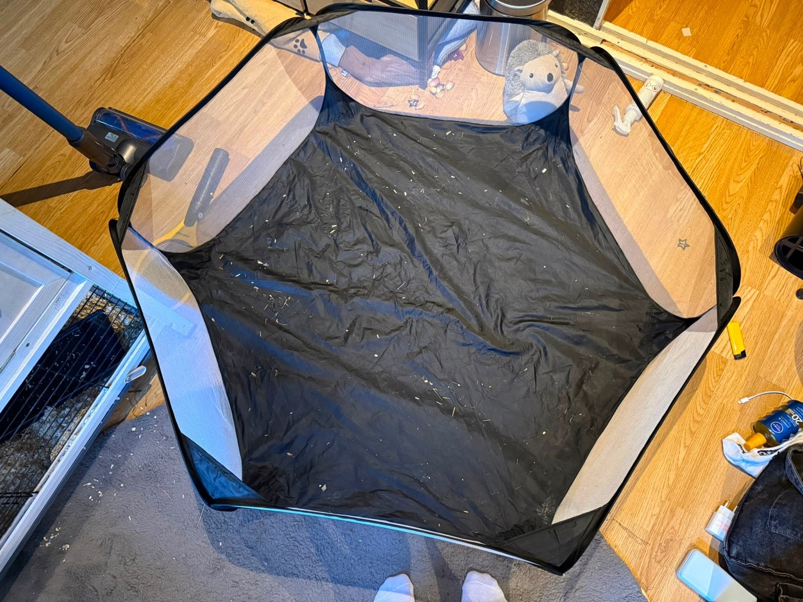 Cavia’s met hok, Dieren en Toebehoren, Ophalen, Overige typen